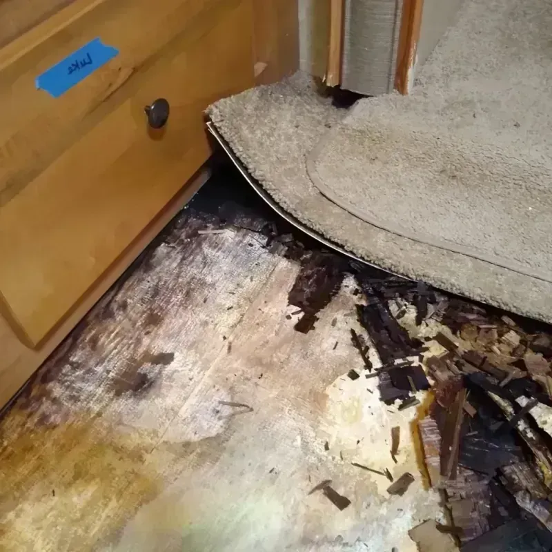 Wood Floor Water Damage in Russell County, VA